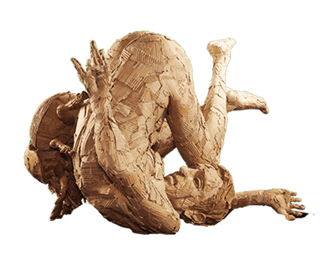 Coleópteros