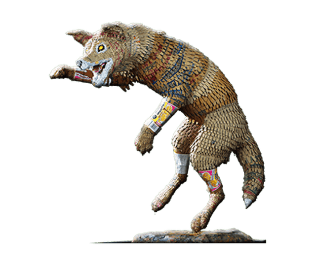 Coyotl