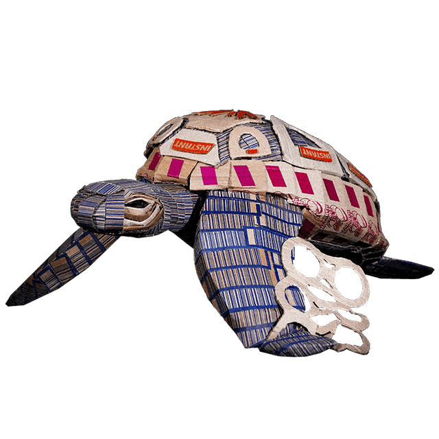 Tortuga Chelo