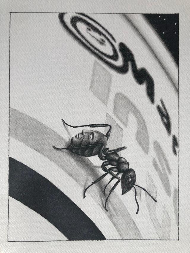 Hormiga